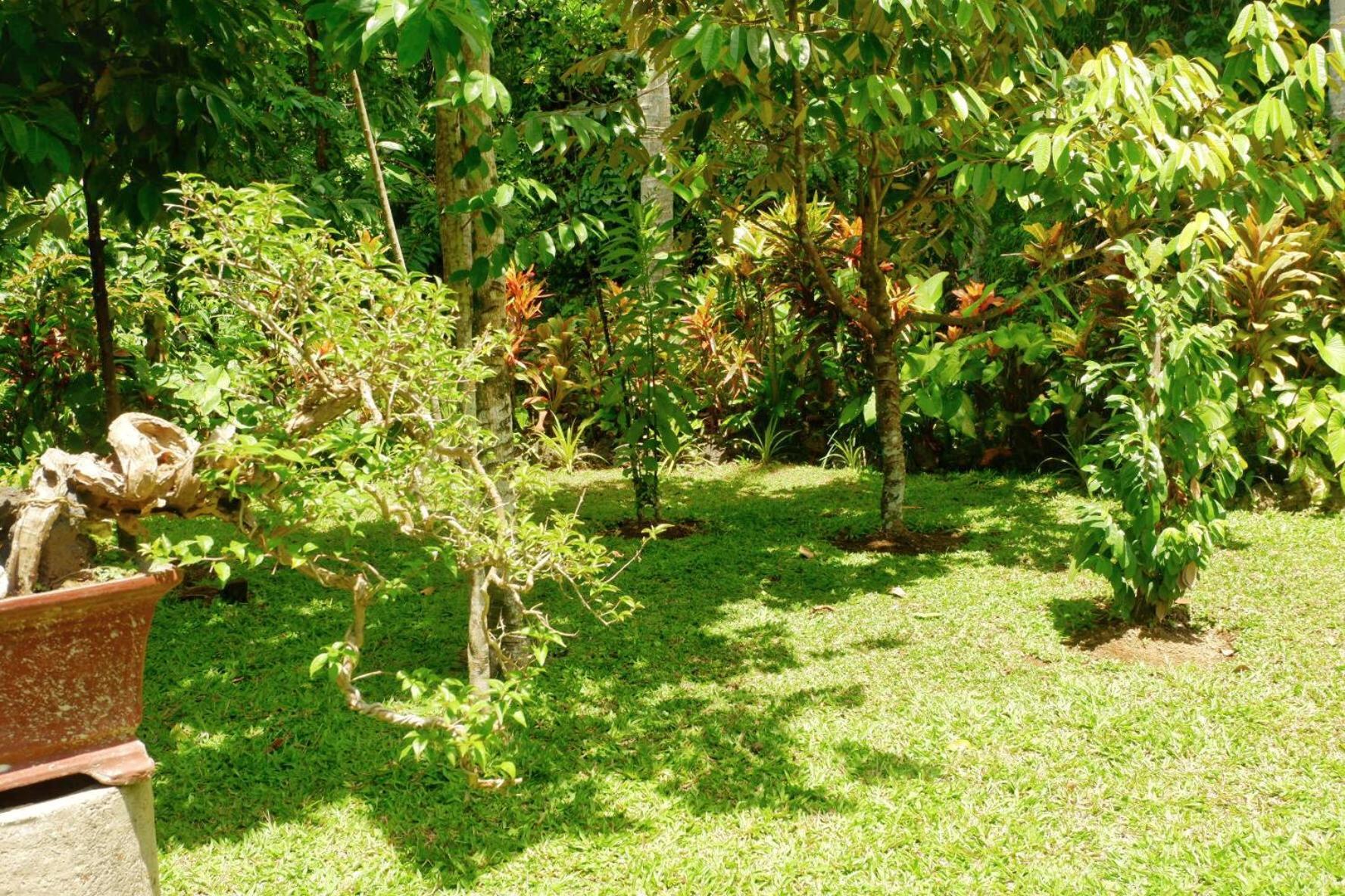 Artja Inn Ubud Extérieur photo